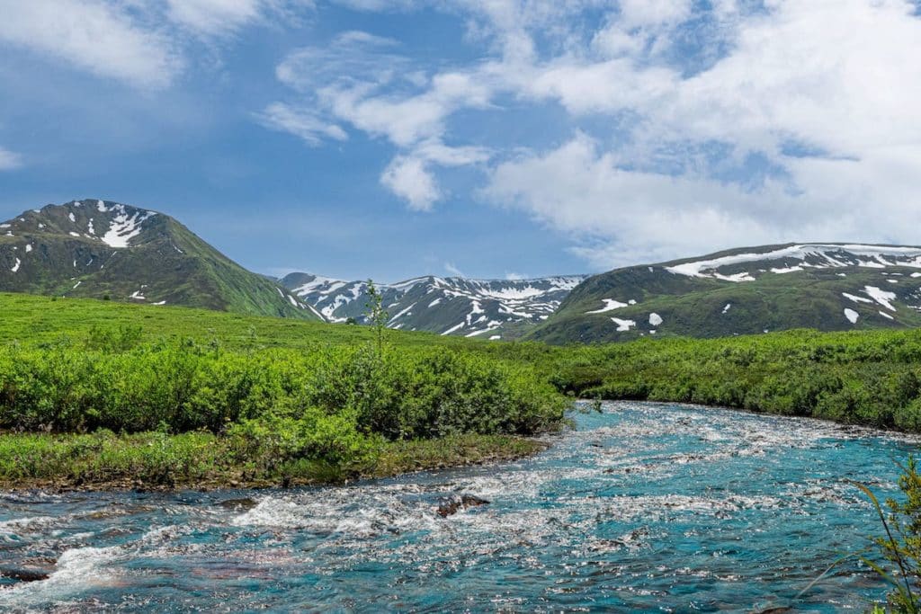 The Best Time to Visit Palmer for Nature Lovers